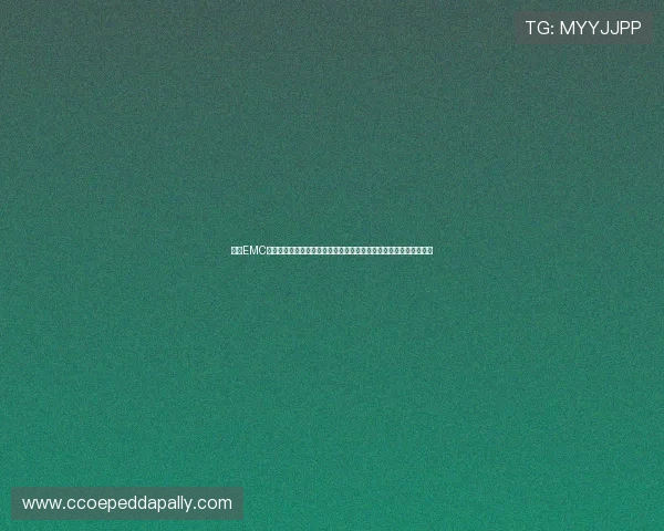 使用EMC体育官方入口进行便捷的在线投注,体验高效安全的体育娱乐新方式